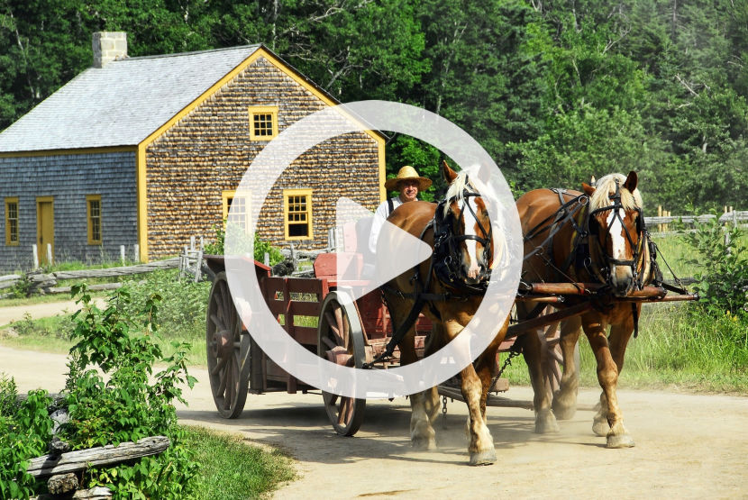 Bauer auf Kutsche - darüber ein Startbuttonl: Was sich nicht bewegt, muss in Gang gesetzt werden.